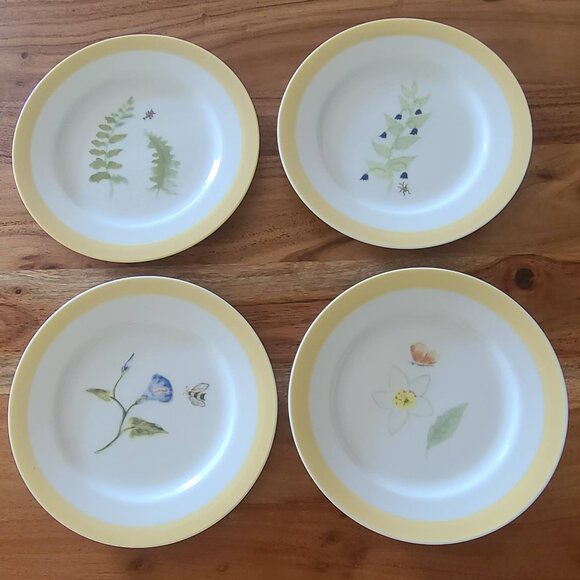 Williams Sonoma Salad Plates (Set of 4) Summer Studies Series - Picture 1 of 8
